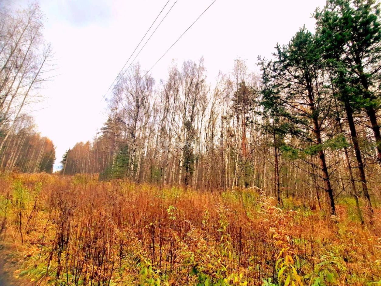 Photo https://36000382-a1c2-4a8a-a109-3fc3bfc73cf7.selcdn.net/App/Entity/ObjectRealty/ObjectRealty/EX/300eff37-dd0e-4f22-8c8a-3b52d690e881.jpg.compressed.webp