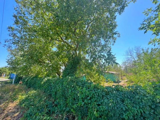 Купить земельный участок в Ростове-на-Дону. Вариант № 3449072, 5, площадь -  квм, цена 2300000 рублей