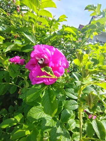 Купить дом на улице Набережная в Тюменской области. Вариант № 56332, 14, площадь -  квм, цена 3200000 рублей