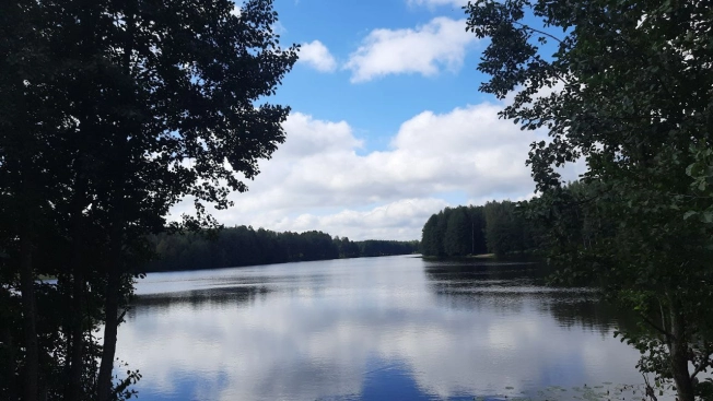 Купить земельный участок в Владимире. Вариант № 3155308, 2, площадь -  квм, цена 680000 рублей