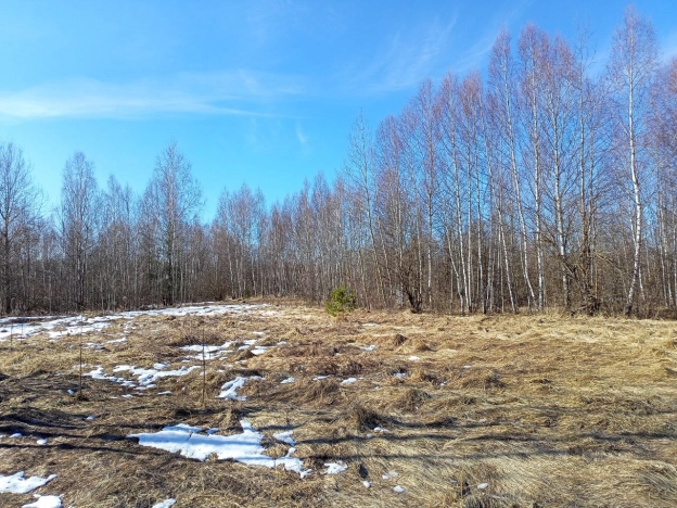 Купить земельный участок в Нижегородской области. Вариант № 32335, 1, площадь -  квм, цена 680000 рублей