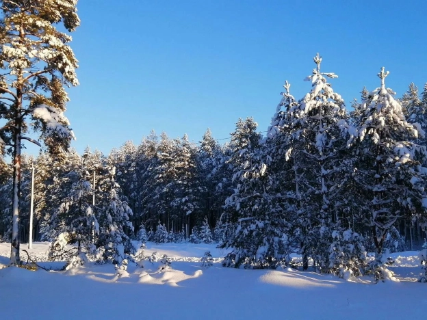 Купить дом в Приозерске. Вариант № 4152000, 11, площадь -  квм, цена 6750060 рублей