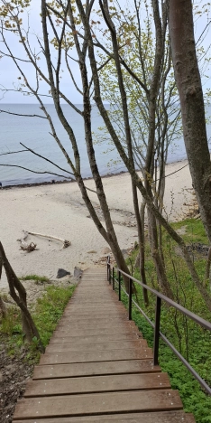 Купить однокомнатную квартиру в Светлогорске. Вариант № 25733, 31, площадь -  квм, цена 5990000 рублей