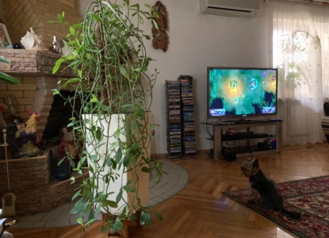 Купить дом в Краснодаре. Вариант № 35322, 20, площадь - квм, цена 55000000.0000 рублей