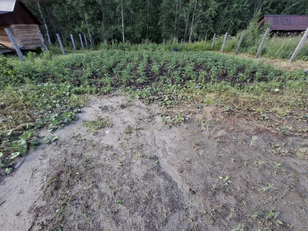 Купить земельный участок в Тобольске. Вариант № 60179, 7, площадь -  квм, цена 300000 рублей