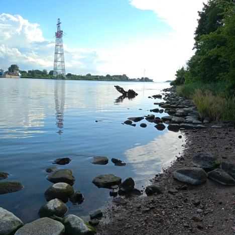 Купить земельный участок в Калининграде. Вариант № 32523, 25, площадь -  квм, цена 800000 рублей