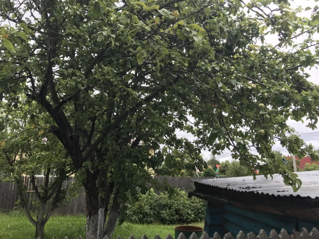 Купить дом в Нижегородской области. Вариант № 8895995, 22, площадь -  квм, цена 1550000.0000 рублей