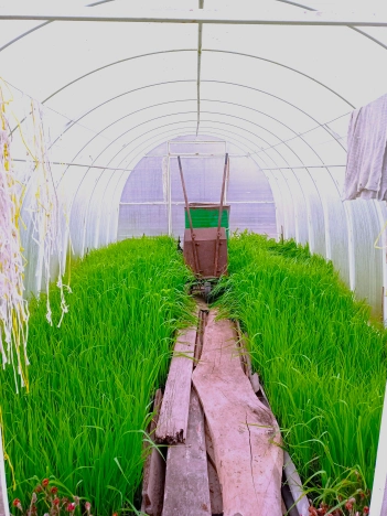 Купить дачу в Москве. Вариант № 10129650, 18, площадь - квм, цена 1980000 рублей