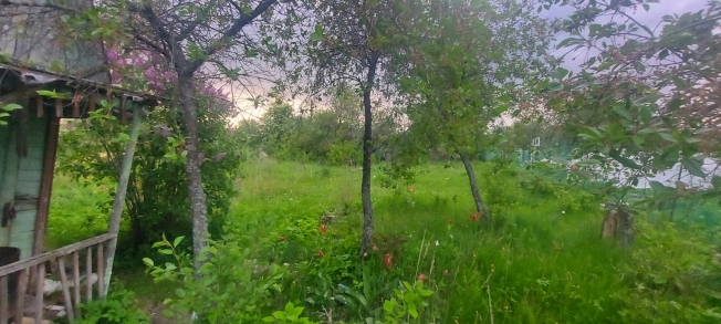 Купить дачу в Владимирской области. Вариант № 45878, 11, площадь -  квм, цена 350000 рублей