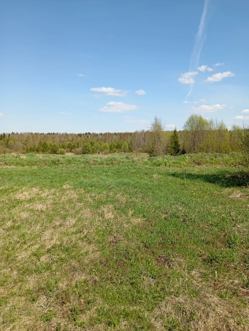 Купить земельный участок в Республике Коми. Вариант № 46055, 1, площадь -  квм, цена 240000 рублей