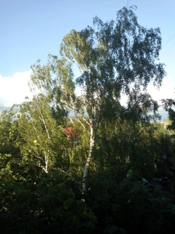 Купить квартиру в Москве. Вариант № 10080489, 15, площадь - квм, цена 17000000 рублей