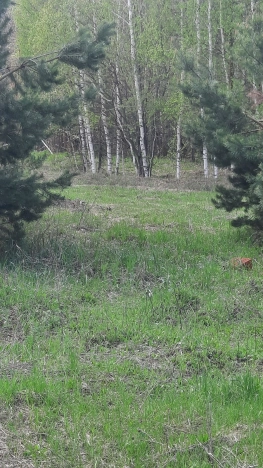 Купить земельный участок на улице Солнечная в Республике Татарстан (татарстан). Вариант № 32075, 15, площадь -  квм, цена 14420000 рублей