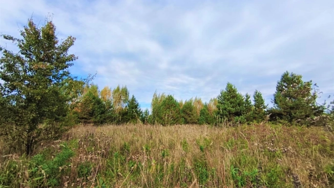 Купить земельный участок в Коврове. Вариант № 7637042, 5, площадь -  квм, цена 330000 рублей