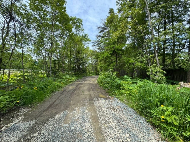 Купить земельный участок в Южно-Сахалинске. Вариант № 49771, 1, площадь -  квм, цена 2000000 рублей