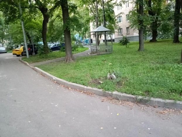 Купить квартиру в Москве. Вариант № 9222051, 9, площадь -  квм, цена 20000000 рублей