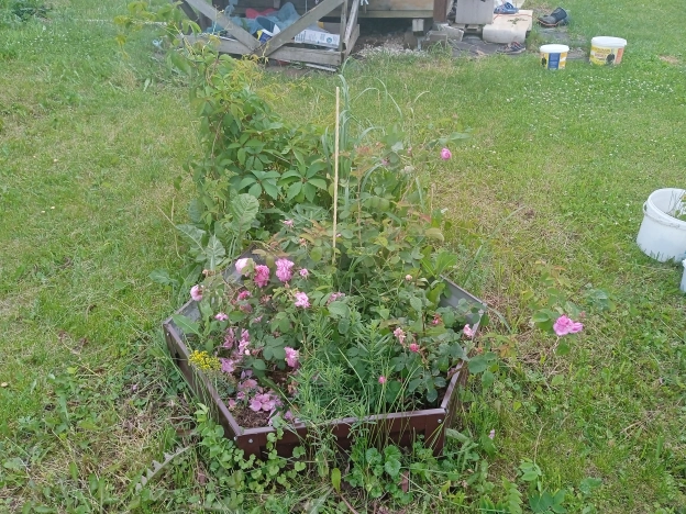 . Вариант № 1299679, 25, площадь -  квм, цена 1150000 рублей