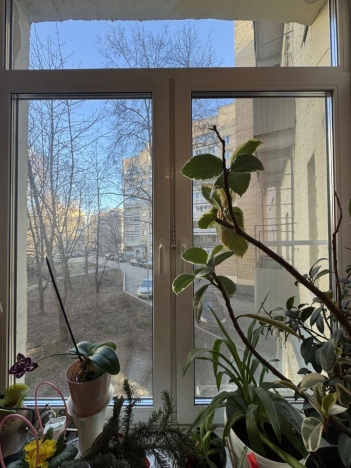 Купить квартиру в Москве. Вариант № 7653253, 7, площадь - квм, цена 48000000 рублей