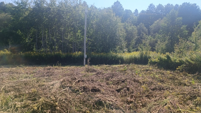 Купить дом на улице Полецкого в Калининграде. Вариант № 6143477, 6, площадь -  квм, цена 13000000 рублей