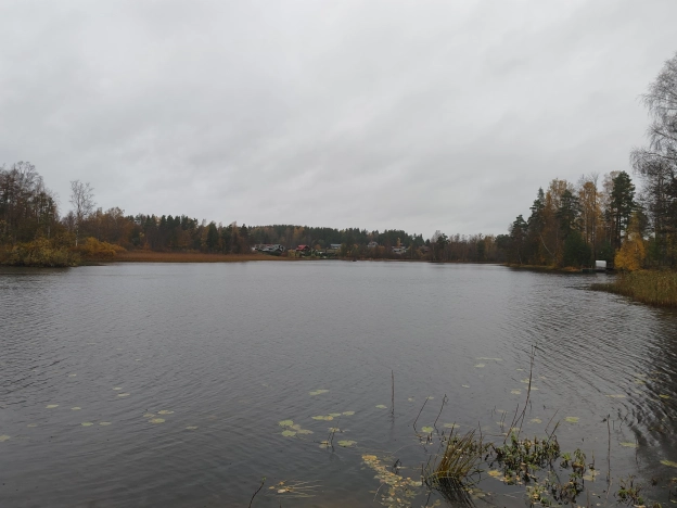 Купить земельный участок в Ленинградской области. Вариант № 7736733, 13, площадь -  квм, цена 1600000 рублей