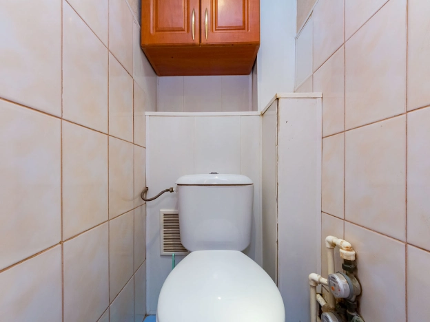 . Вариант № 15171, 17, площадь - 53 квм, цена 5000000 рублей