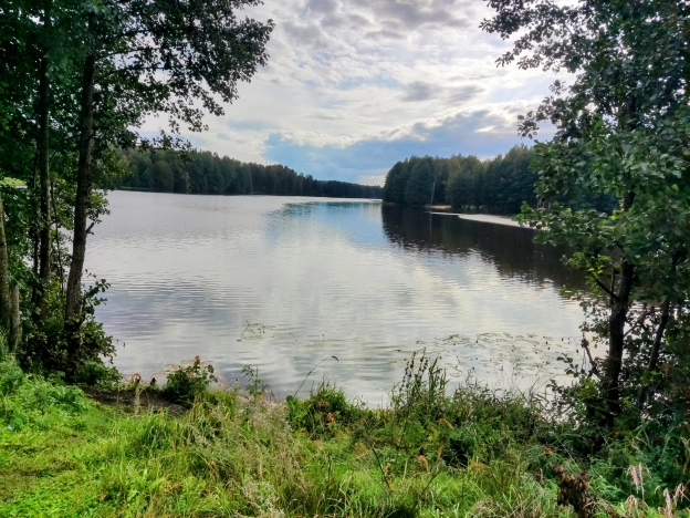 Купить земельный участок в Владимире. Вариант № 3089185, 0, площадь -  квм, цена 900000 рублей