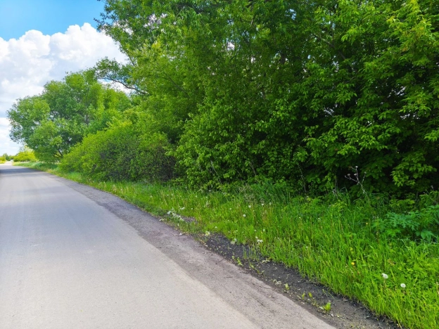 Купить земельный участок в Воронеже. Вариант № 27413, 2, площадь -  квм, цена 1230000 рублей