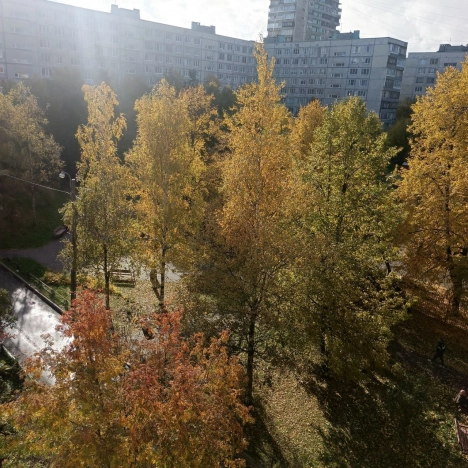 Купить двухкомнатную квартиру в Кудрове. Вариант № 25029, 20, площадь -  квм, цена 10500000 рублей