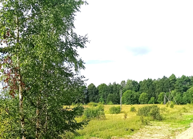 Купить земельный участок в Тульской области. Вариант № 3420, 3, площадь -  квм, цена 17800000 рублей