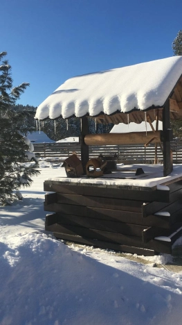 Купить дом в Алтайском крае. Вариант № 9902030, 34, площадь -  квм, цена 25000000 рублей