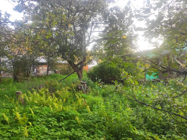 Купить дачу в Московской области. Вариант № 38447, 4, площадь -  квм, цена 880000 рублей