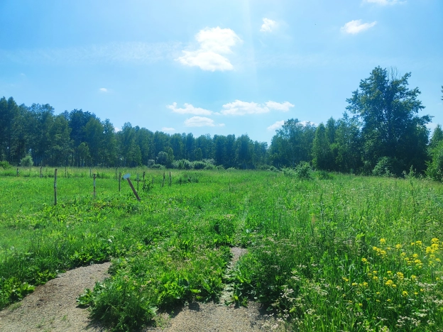 Купить земельный участок в Тюменской области. Вариант № 52255, 2, площадь -  квм, цена 280000 рублей