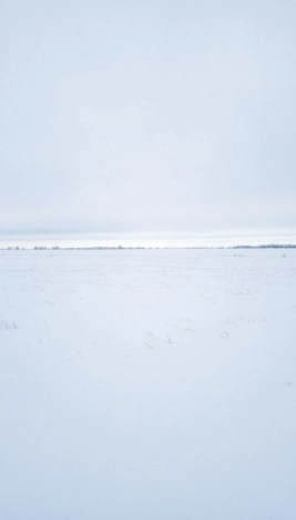 Купить земельный участок в Иркутской области. Вариант № 5495325, 1, площадь -  квм, цена 600000 рублей