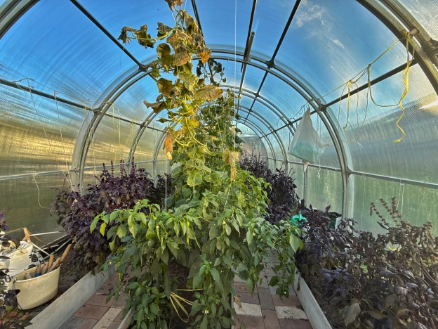 Купить дом в Москве. Вариант № 6657835, 9, площадь -  квм, цена 8990000 рублей