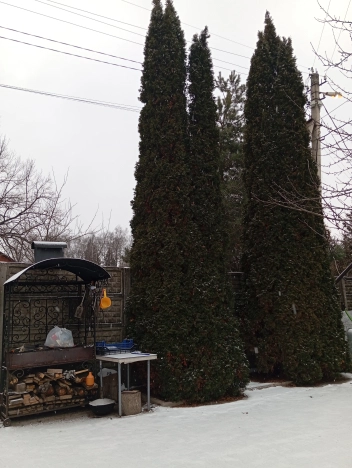 Купить дом у метро Румянцево в Москве. Вариант № 25569, 30, площадь -  квм, цена 19700000 рублей