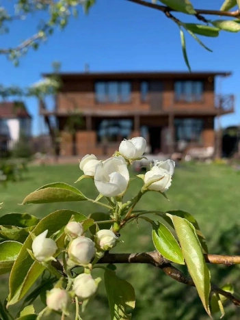 Купить дом в Всеволожске. Вариант № 51719, 19, площадь -  квм, цена 12400000 рублей