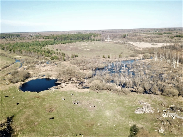 Купить коммерческую недвижимость в Судогде. Вариант № 2228, 7, площадь -  квм, цена 17948000 рублей