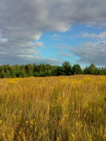 Купить земельный участок в Владимире. Вариант № 2537, 3, площадь -  квм, цена 600000 рублей