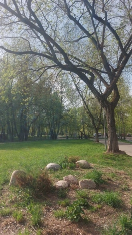 Купить квартиру на вторичке у метро Ботанический сад в Москве. Вариант № 2623232, 46, площадь -  квм, цена 19500000 рублей