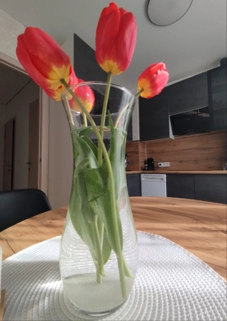 . Вариант № 3815667, 3, площадь - 50 квм, цена 5150000 рублей