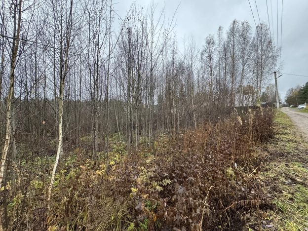 Купить земельный участок в Санкт-Петербурге. Вариант № 8360619, 7, площадь -  квм, цена 3000000 рублей