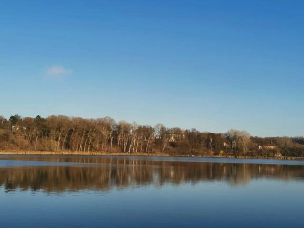 Купить дом на улице Зелёная в Брянской области. Вариант № 597, 14, площадь -  квм, цена 4800000 рублей