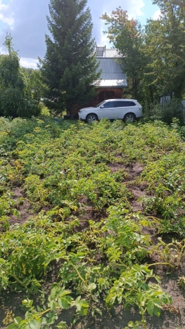 Купить земельный участок в Микрорайоне Московка-2 в Омске. Вариант № 27255, 1, площадь -  квм, цена 410000 рублей