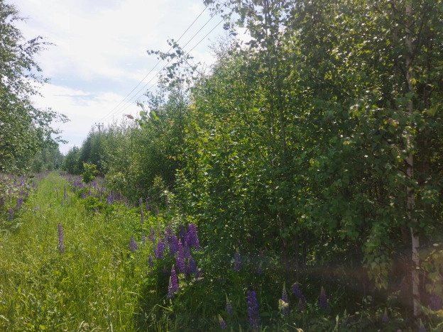 Купить земельный участок в Владимире. Вариант № 2672654, 4, площадь -  квм, цена 2299000 рублей