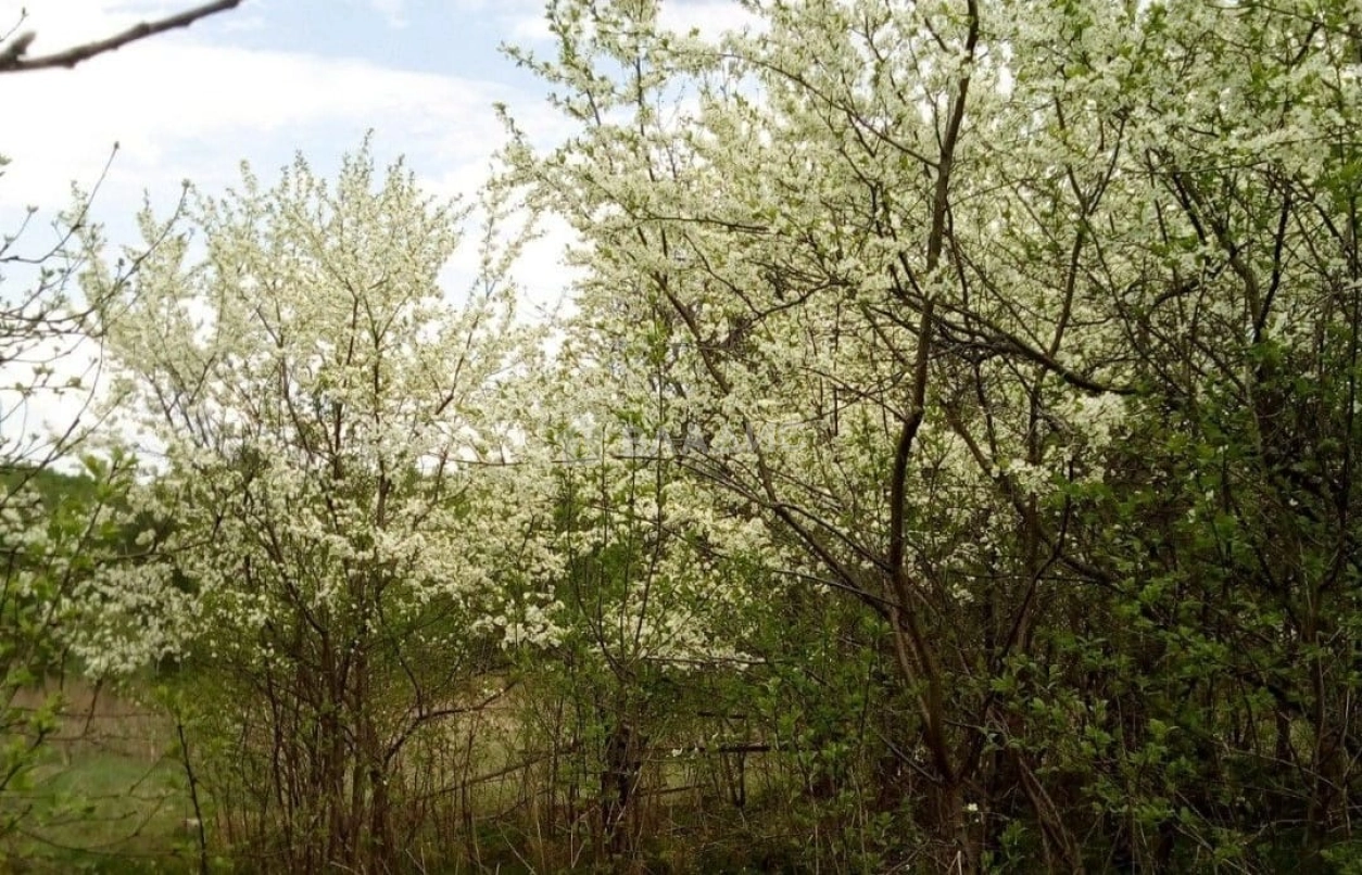 Photo https://36000382-a1c2-4a8a-a109-3fc3bfc73cf7.selcdn.net/App/Entity/ObjectRealty/ObjectRealty/FI/e3f10b55-d0ed-4137-b93e-0aa29e9f6556/aIGaxVXo2swZ9LlCysZvczS1m1tg8EIzy1OOmbwm.jpg.compressed.webp