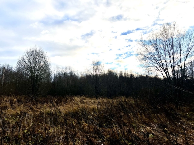 Купить земельный участок в Москве. Вариант № 9280992, 4, площадь -  квм, цена 350000 рублей