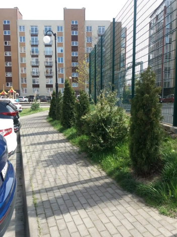 . Вариант № 7228604, 9, площадь - 37 квм, цена 7700000 рублей