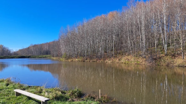 Купить земельный участок в Новосибирске. Вариант № 5922136, 13, площадь -  квм, цена 1450000 рублей