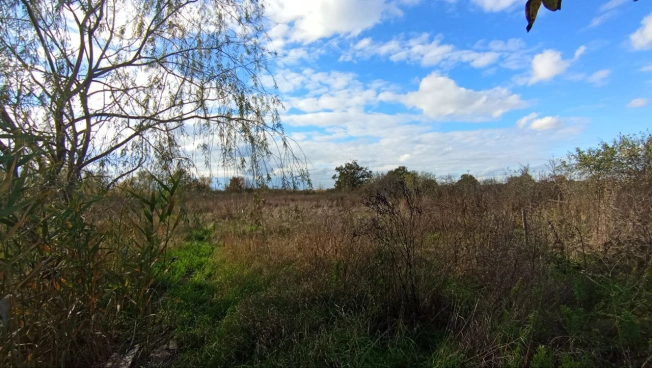 Купить дом на улице Васильковая в Краснодарском крае. Вариант № 6798454, 13, площадь -  квм, цена 1500000 рублей