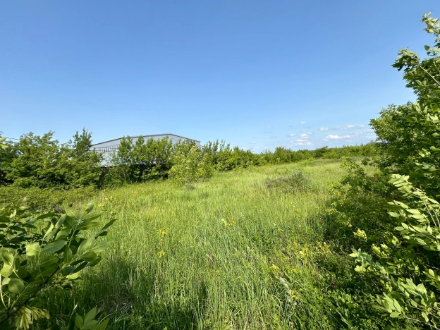 Купить земельный участок в Пензенской области. Вариант № 53081, 1, площадь -  квм, цена 2650000 рублей