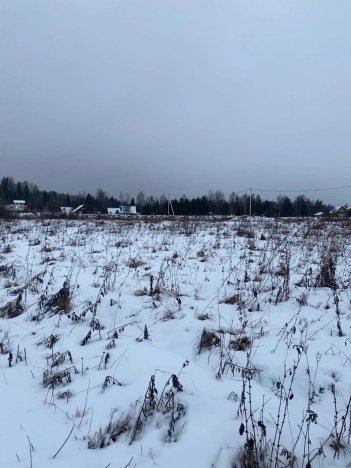 Купить земельный участок в Вологодской области. Вариант № 21303, 11, площадь -  квм, цена 1000000 рублей